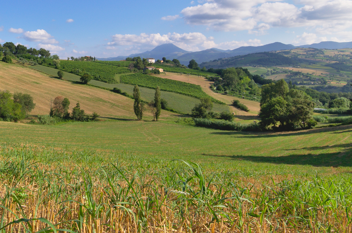 Cupramontana; Il sentiero dei panorami